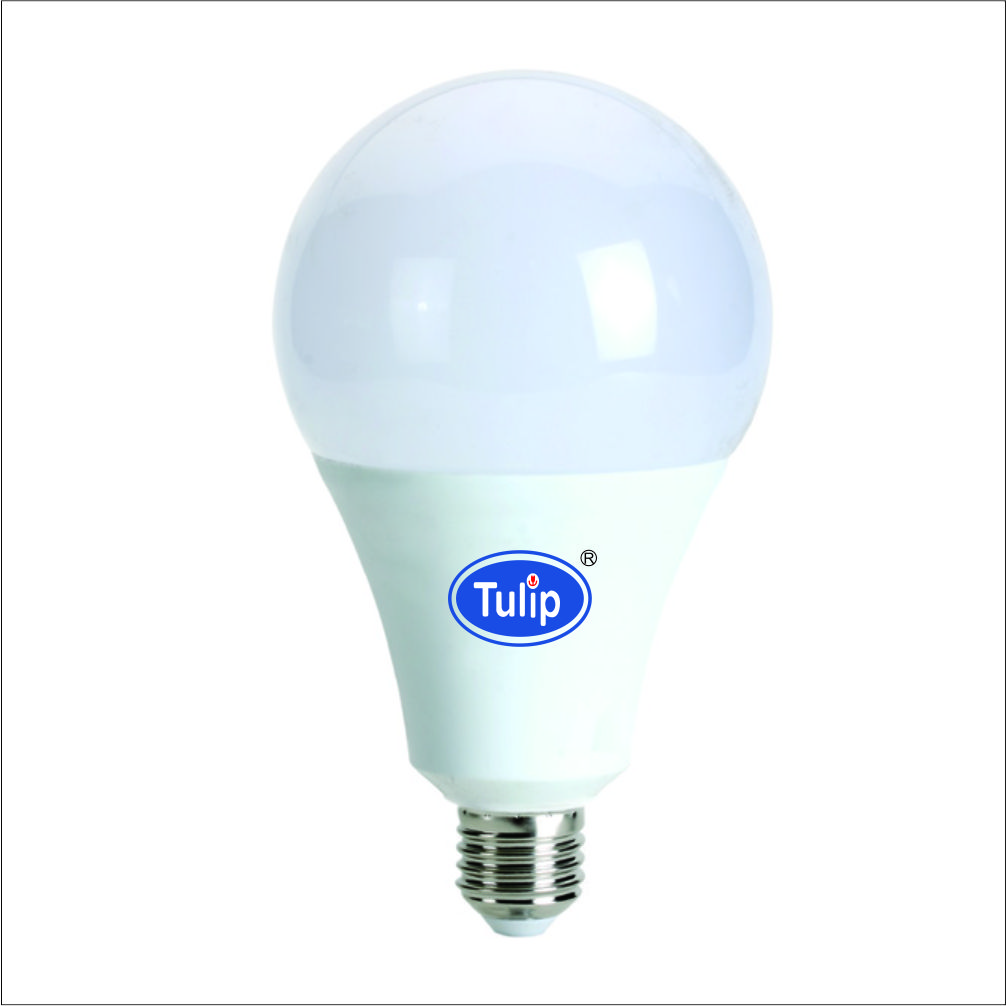 A70/A80/A95 Led Light Bulb
