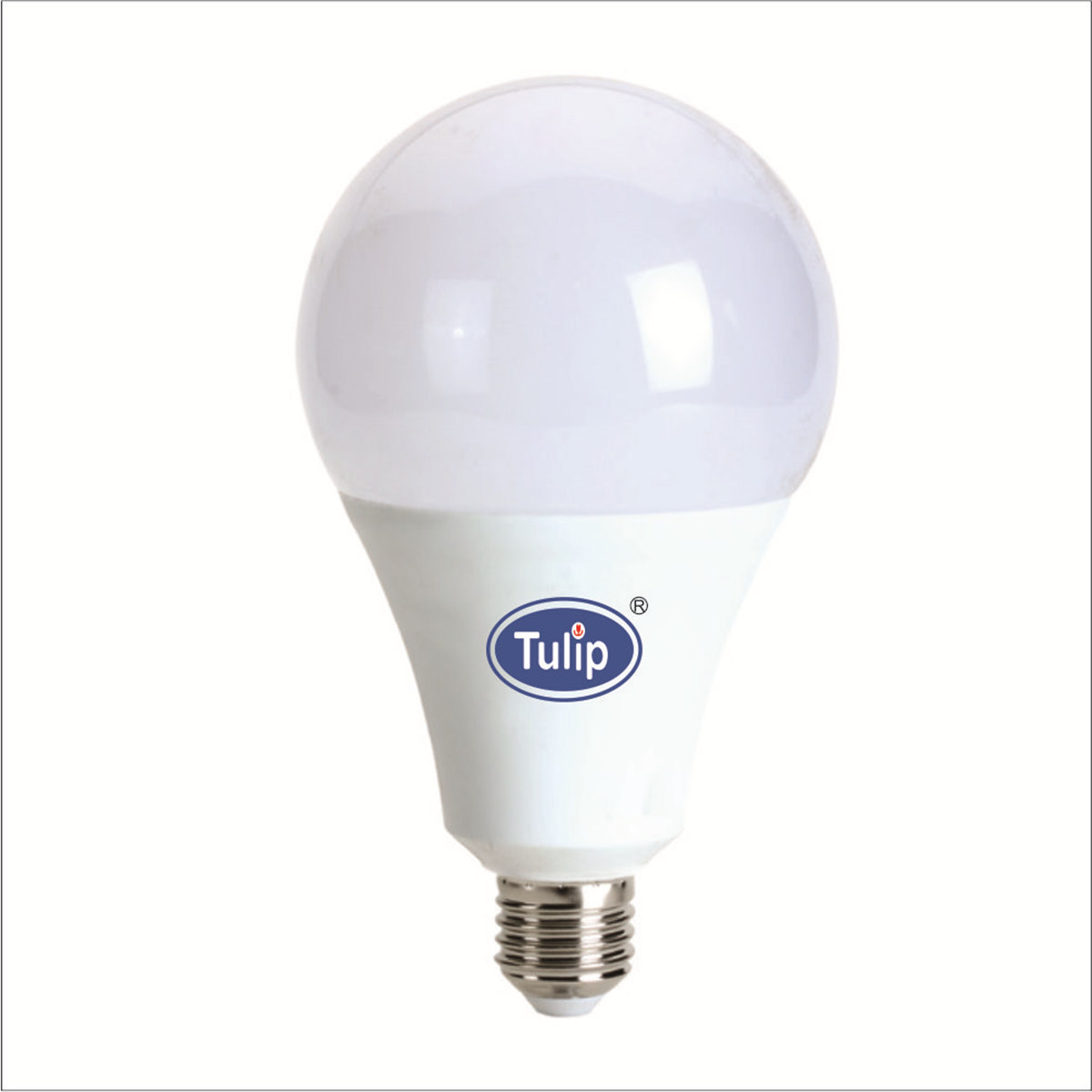 A70/A80/A95 Led Light Bulb