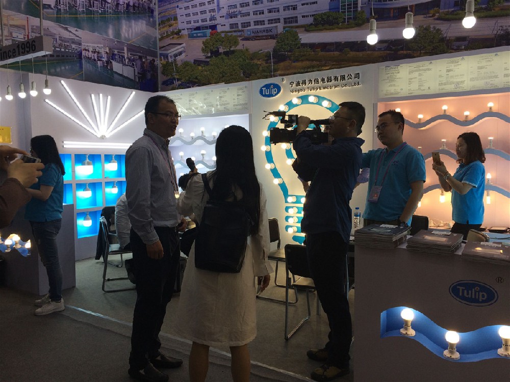 Company Exhibition-Canton fair