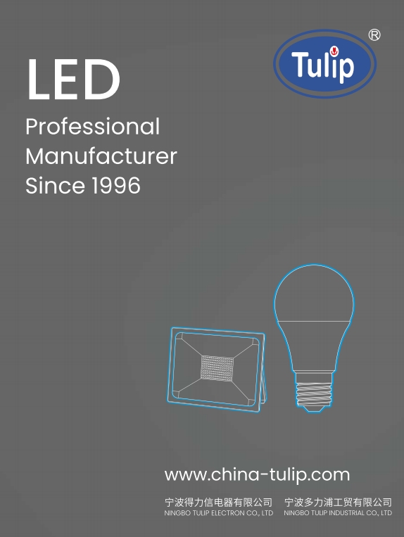 LED BULB Catalogue